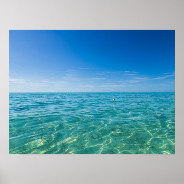 Turks- och Caicosöarna Poster (Framsidan)