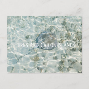 Turks- och Caicosöarna Vykort