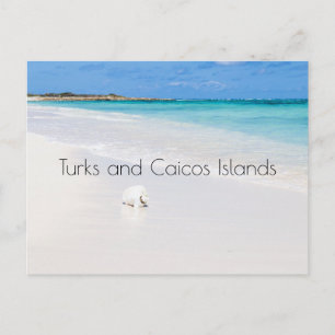 Turks- och Caicosöarna Vykort