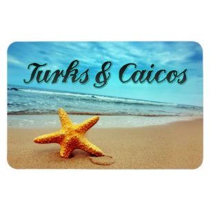 Turks- och Caicostjärnfisk Magnet