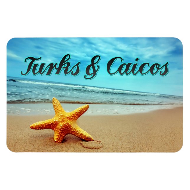 Turks- och Caicostjärnfisk Magnet (Horisontell)