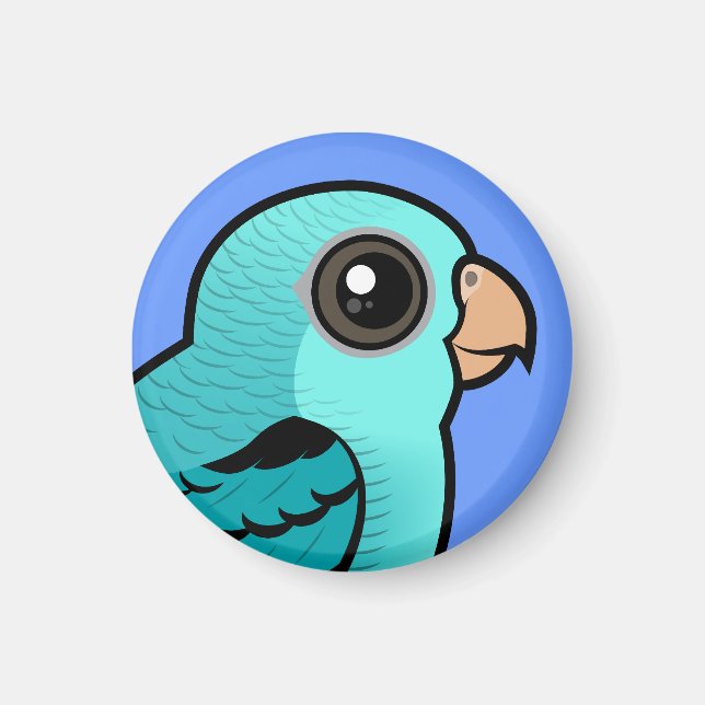 Turkvoise Barred Parakeet Magnet (Framsidan)
