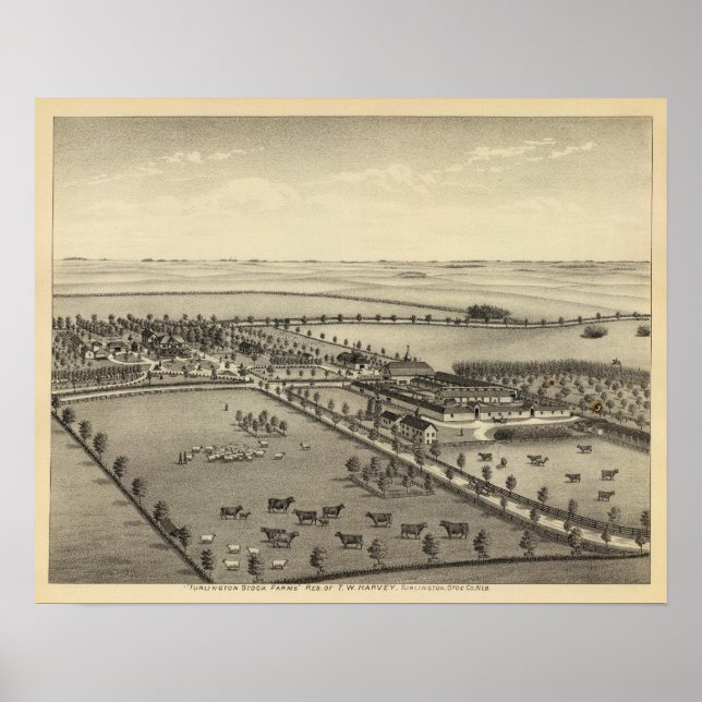 Turlington Farms, Nebraska Poster (Framsidan)