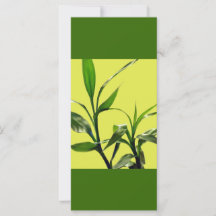 turlös bamboo grönt löv behålla lugn som läses på