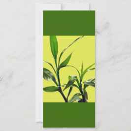 turlös bamboo grönt löv behålla lugn som läses på