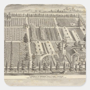 Turnbull's Nursery, Fitch res Fyrkantigt Klistermärke