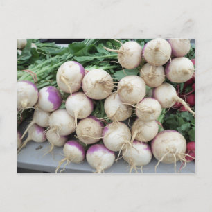 Turnip Pile Vykort