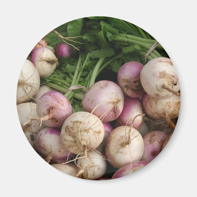 Turnips Magnet (Framsidan)