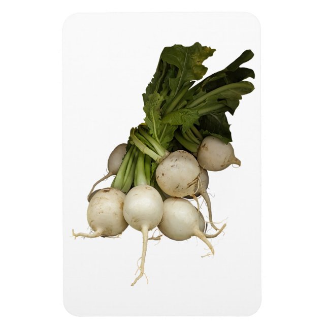 Turnips Photo Magnet (Vertikal)