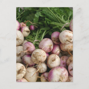 Turnips Vykort