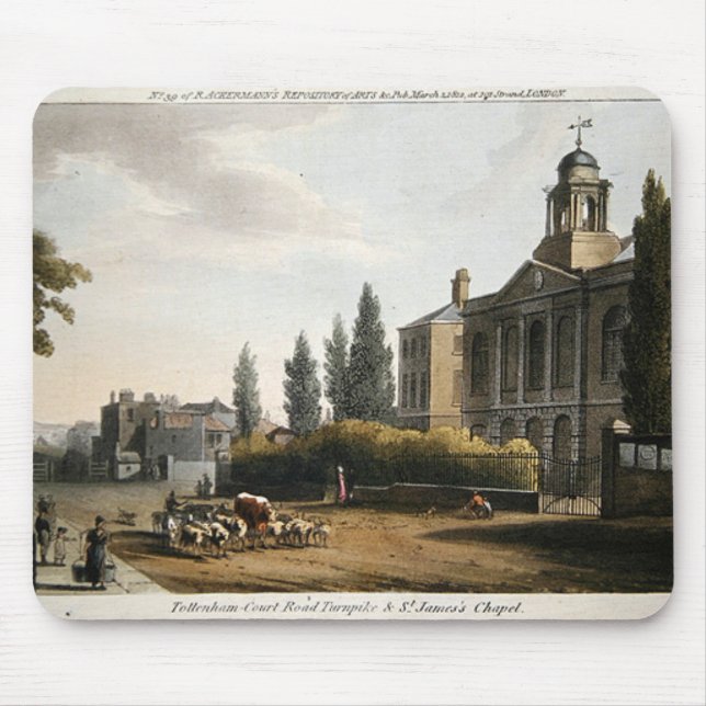 Turnpike för Tottenham domstolväg Musmatta (Framsidan)