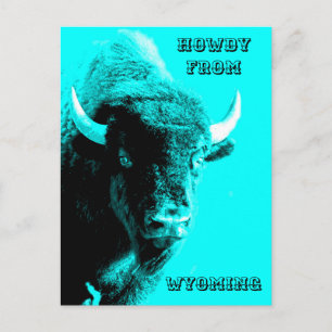 Turquise Blue Buffalo Bull Bison Howdy från Vykort