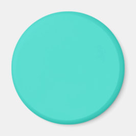 Turquise Blue Green 40E0D0 - alternativ för att lä Magnet