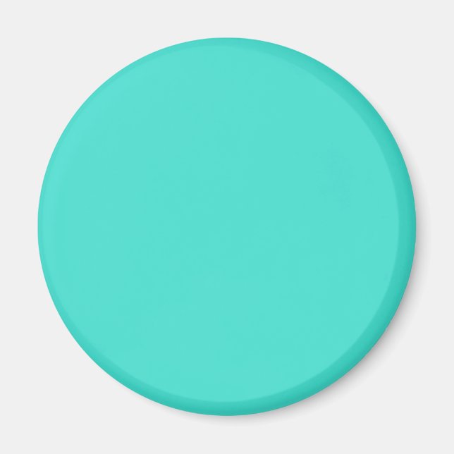 Turquise Blue Green 40E0D0 - alternativ för att lä Magnet (Framsidan)