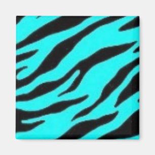 Turquise och Black Zebra Magnet