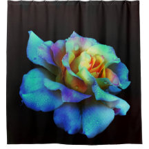 Turquise och Guld Rainbow Ro Shower Curtain