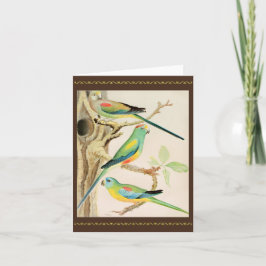 Turquise Parakeet Kort