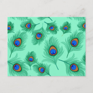 Turquise Peacock Feathers on Light Aqua Vykort