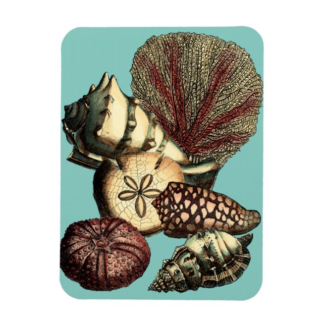 Turquise Snäcka och Red Coral Collection Magnet (Vertikal)