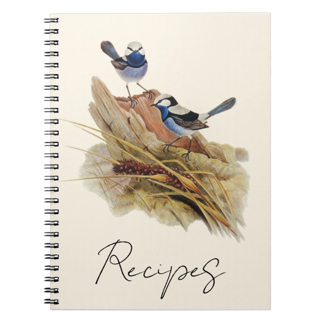 Turquisine Superb Warbler Anteckningsbok (Framsidan)