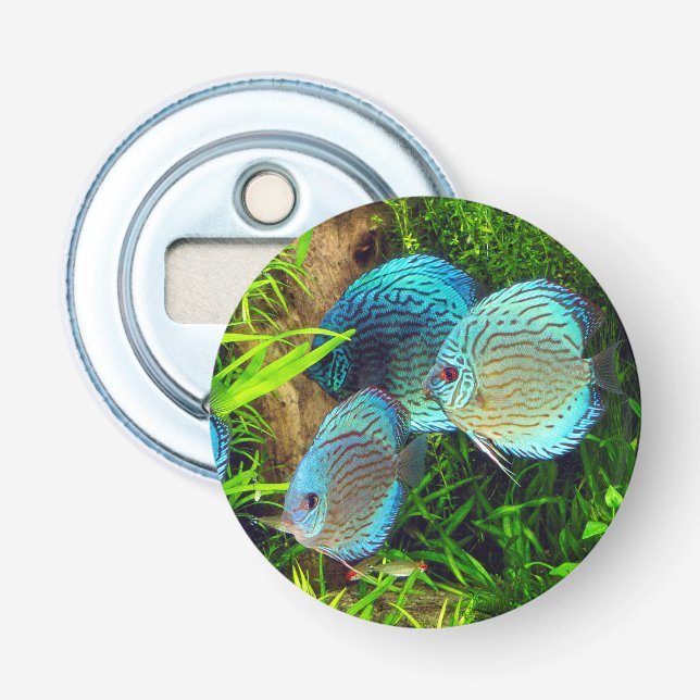 Turquoise Blue Discus Flasköppnare (Framsidan)