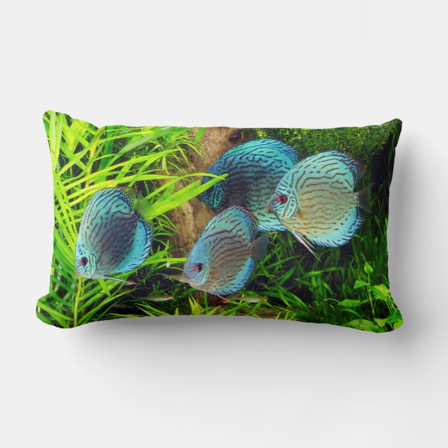 Turquoise Blue Discus Lumbarkudde (Framsida)