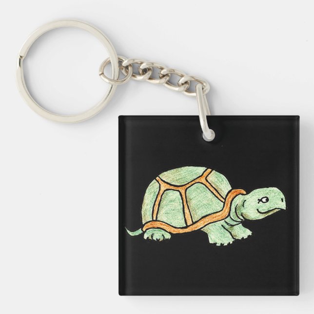 Turtle (Framsidan)