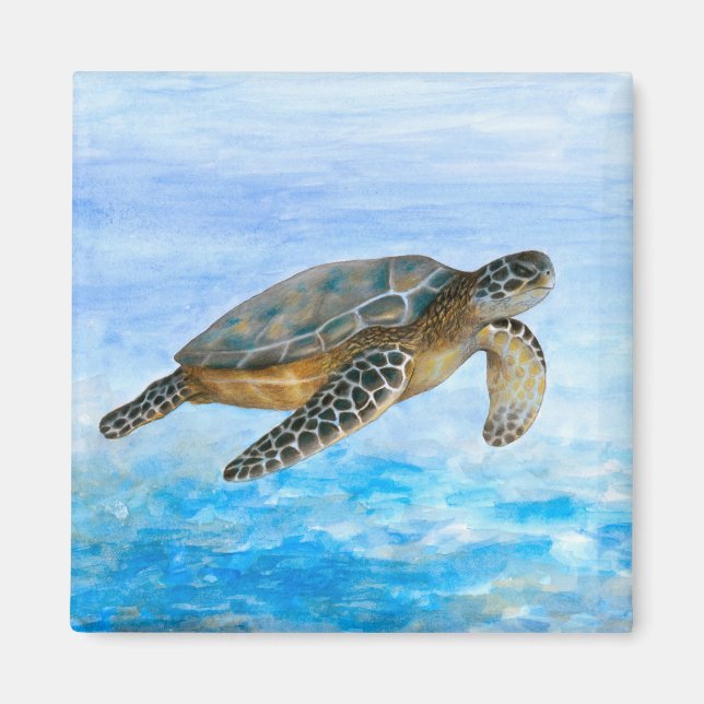 Turtle 1 magnet (Framsidan)