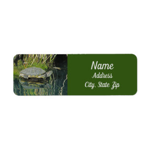 Turtle Älskare Wildlife Vatten Reflection Adress Returadress Etikett