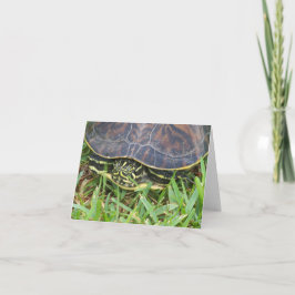 Turtle ansikte som pendlar ut ur snäckan på tom anteckningskort