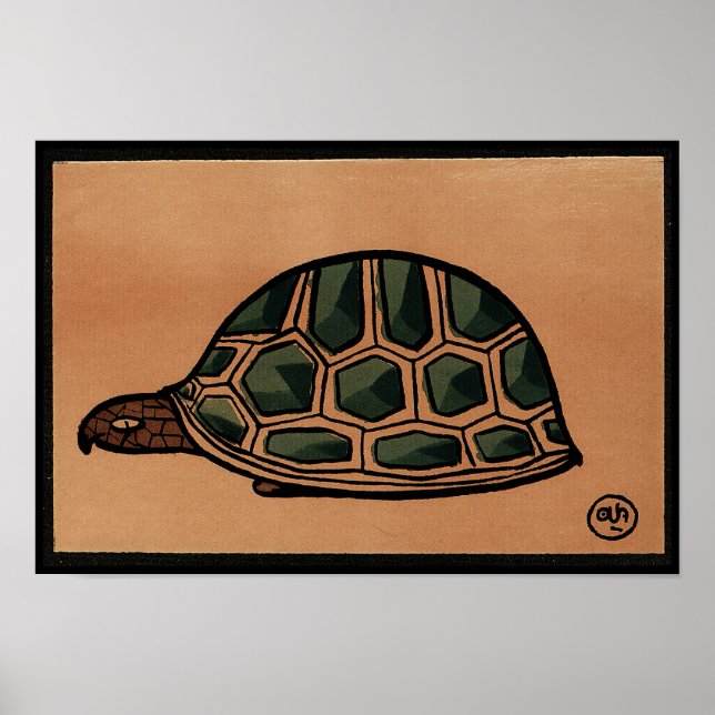 Turtle - Antiquarian, Colorful Bok Illustration Poster (Framsidan)