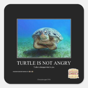 Turtle är inte Arg Fyrkantigt Klistermärke
