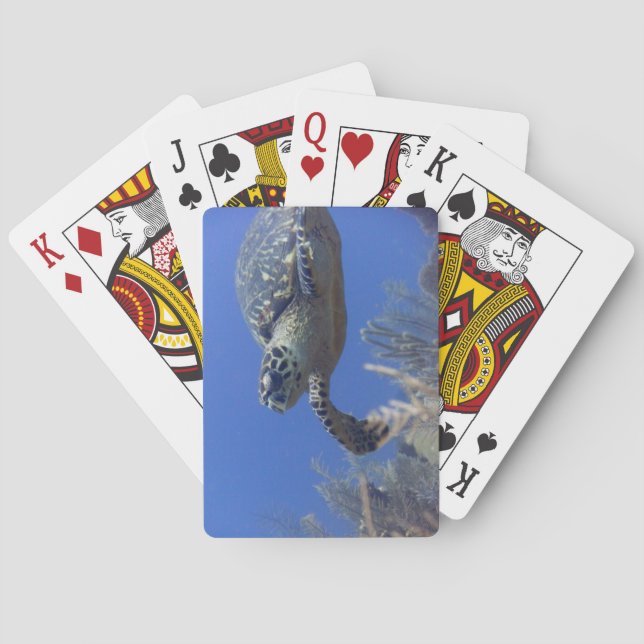 Turtle Bicycle Poker Deck Kortlek (Baksidan)