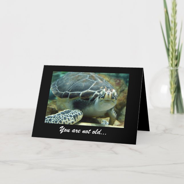 Turtle Birthday-kort Kort (Framsida)