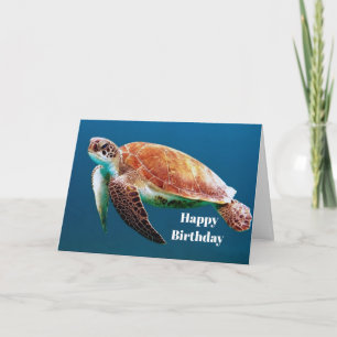 Turtle Blue Vatten Sea Foto Birdag Kort