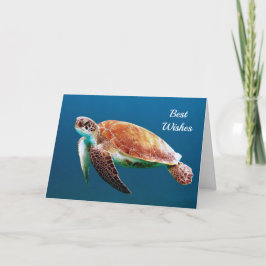 Turtle Blue Vatten Sea Photo Bröllop Kort