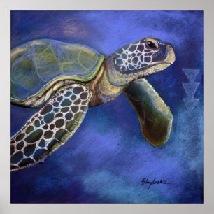 Turtle Blues Poster