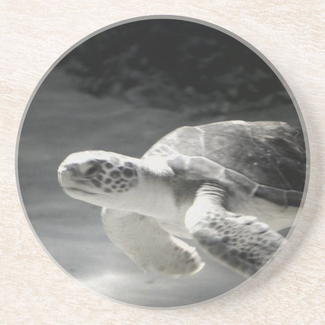 Turtle Bord Home Decor Underlägg Sandsten (Framsidan)