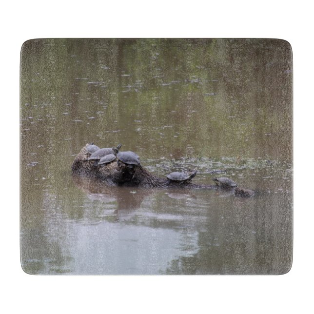 Turtle Caking Board (Framsidan)