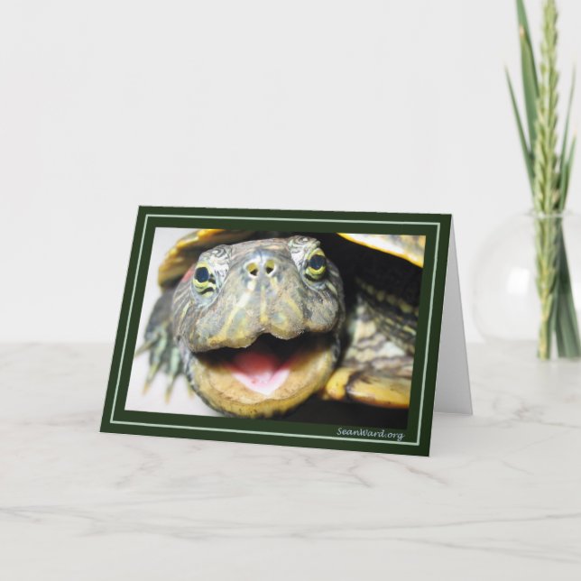 Turtle Card lycklig Kort (Framsida)