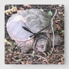 Turtle Clock Fyrkantig Klocka