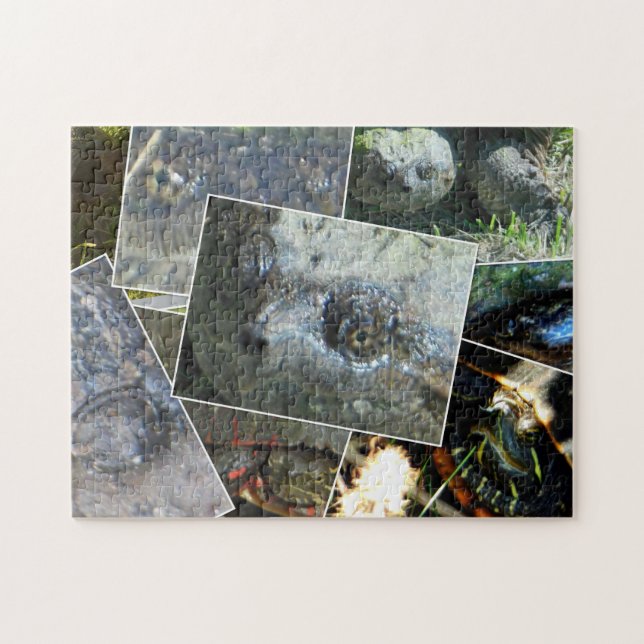 Turtle Collage Pussel (Horisontell)