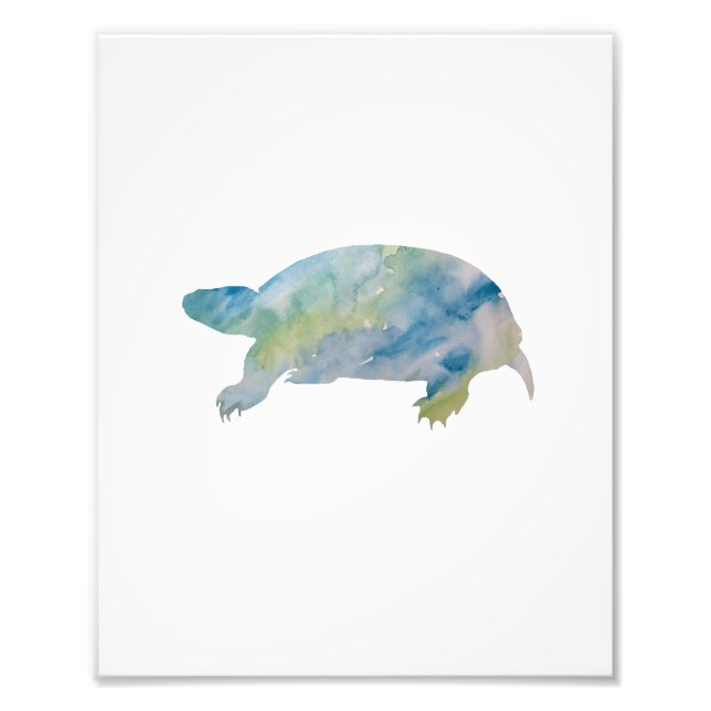 Turtle Colorful Watercolor Fototryck (Framsidan)