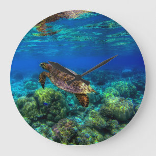 Turtle Coral för tropisk sjön Stor Klocka
