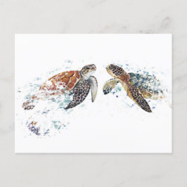 Turtle Couple Vykort