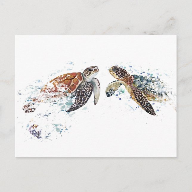 Turtle Couple Vykort (Framsida)
