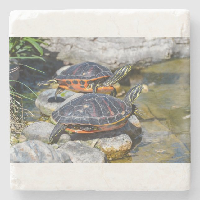 Turtle Cute Animal Office Anpassningsbar Destiny D Underlägg Sten (Framsidan)