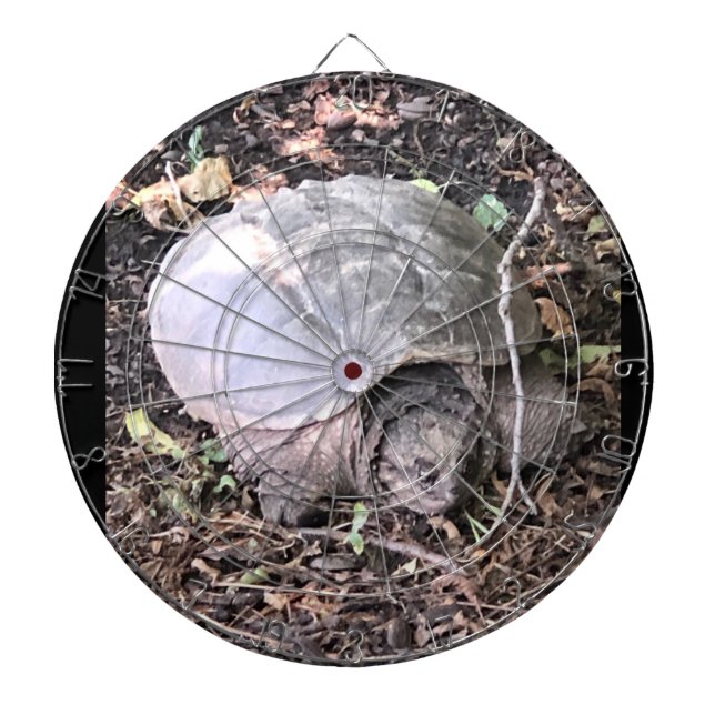 Turtle Dartboard Darttavla (Framsidan)