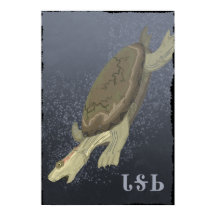 Turtle Dives for Deep