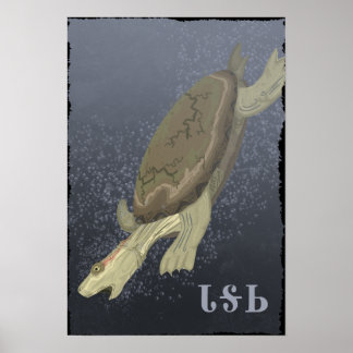 Turtle Dives for Deep Poster